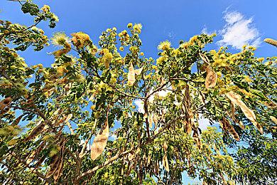 《真女神转生5：复仇》发布1.0.3补丁更新 添加新任务新仲魔