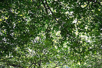 Bilibili World 2025完美收官！bilibili游戏携7款精品独立游戏闪亮登场！